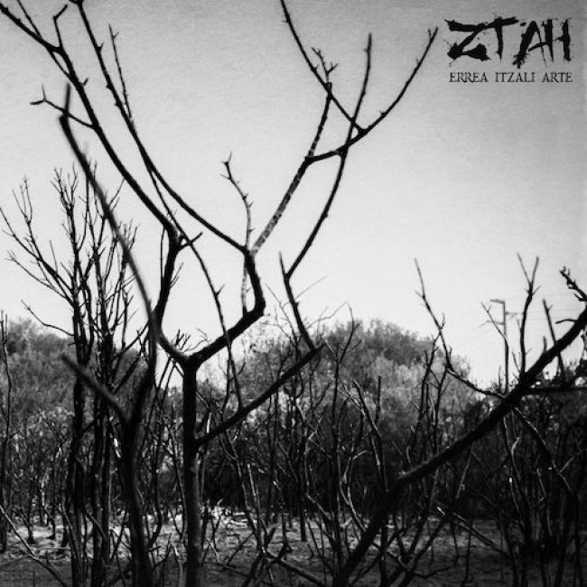 ztah-cd3.jpg